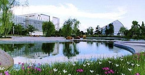 大批高端人才聚集東莞創(chuàng)新創(chuàng)業(yè) 助力產(chǎn)業(yè)轉(zhuǎn)型升級