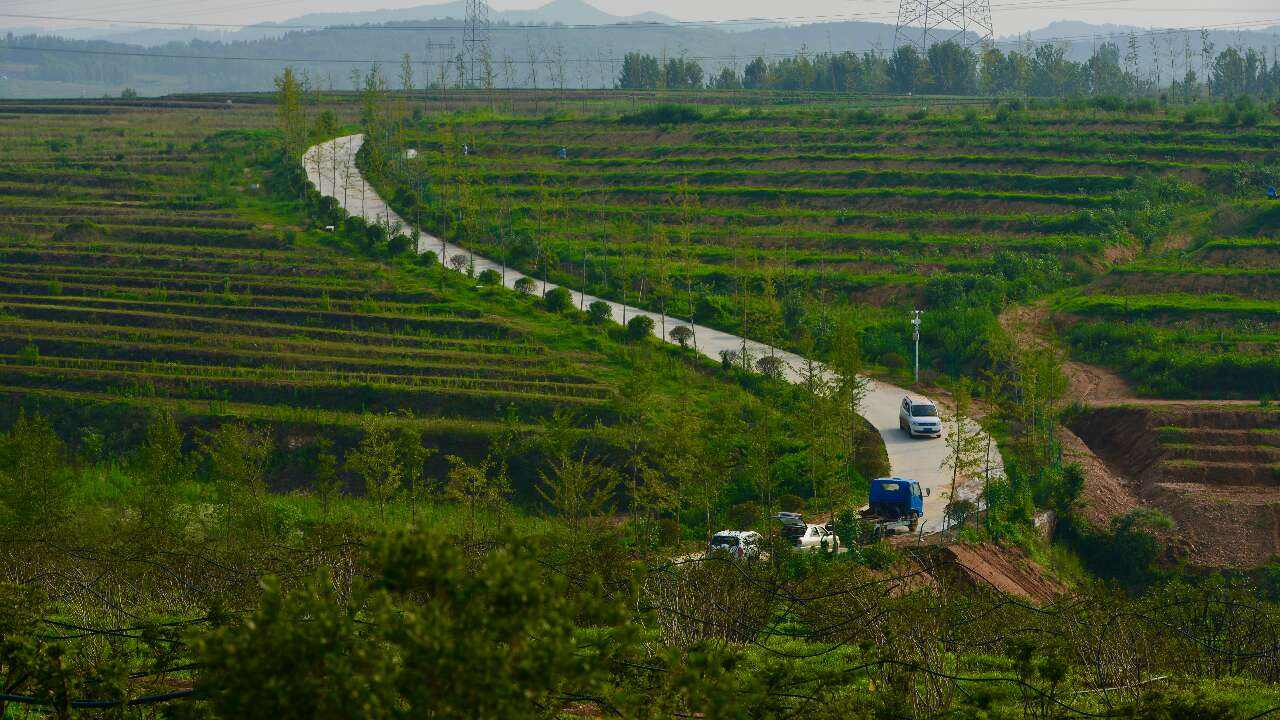 日照：“項目化”引領鄉(xiāng)村振興扎實開局